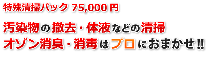特殊清掃パック75,000円